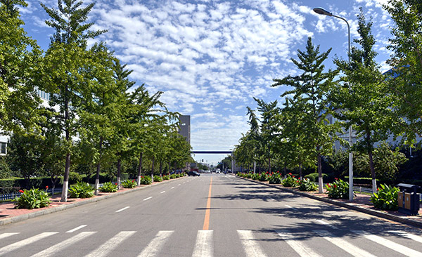 中国·37000威尼斯(股份)有限公司-官方网站